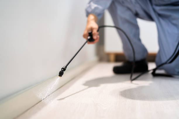 Licensed Pest Control service in Galatia, IL - Show Me Pest Control